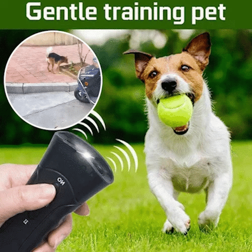 Ultrasonic Dog Training Device