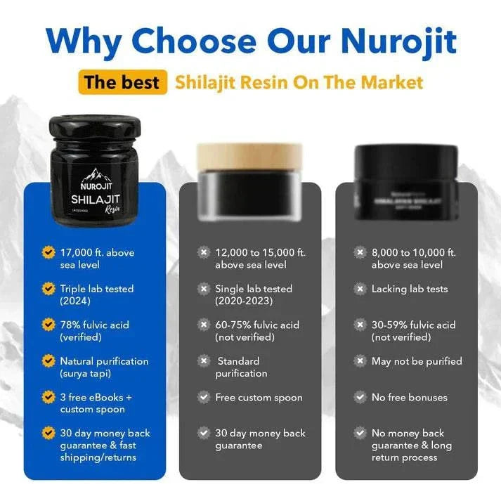Shilajit Resin — view 2